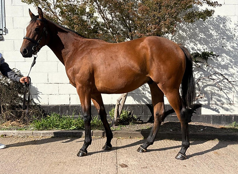 4d8e19a1-484a-4169-b010-11308a48fbe7 (1)