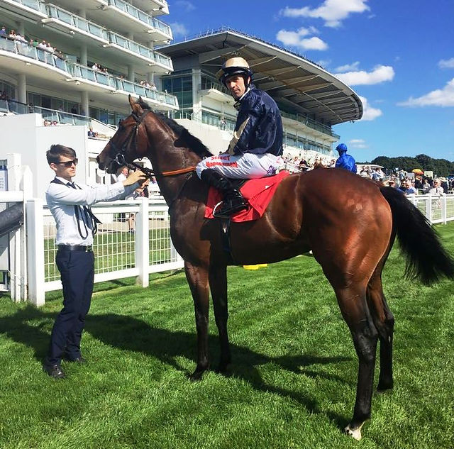 Mullarkey 3rd debut at Epsom