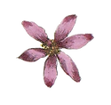 Pink Illustrated Flower
