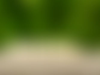 How EMDR Therapy Can Help You Heal From Trauma and Anxiety