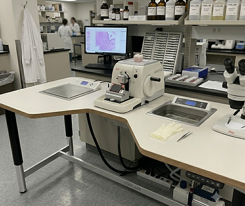 MICROTOME WORKBENCH (2).png