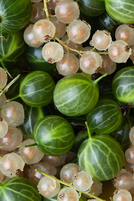 Gooseberries