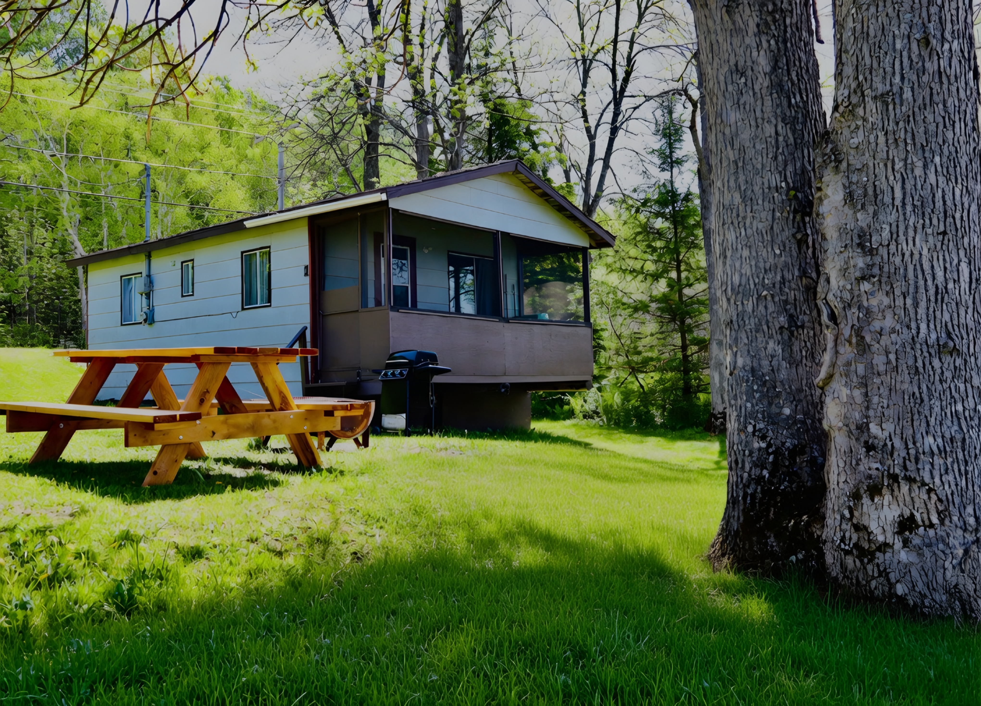 Chalet #1 – Chalet #1