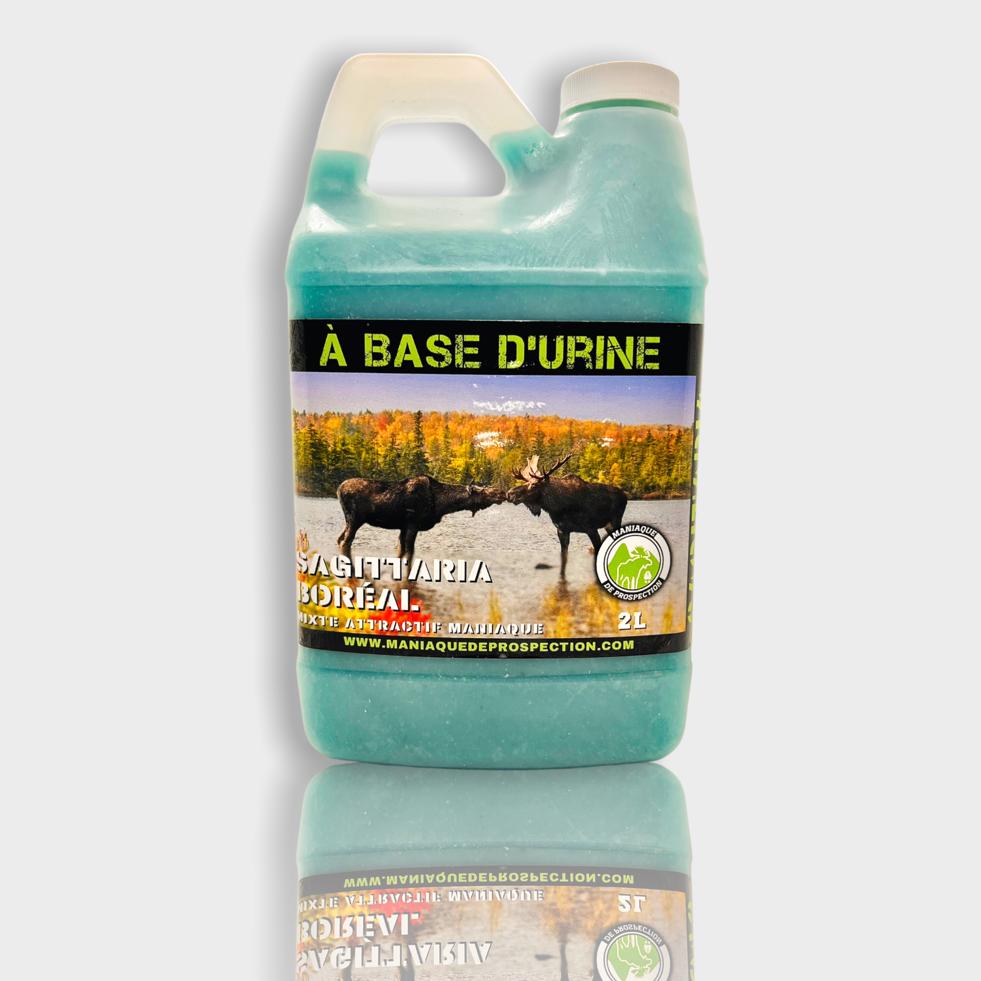 MIXTE ATTRACTIF MANIAQUE | SAGITTARIA BORÉAL