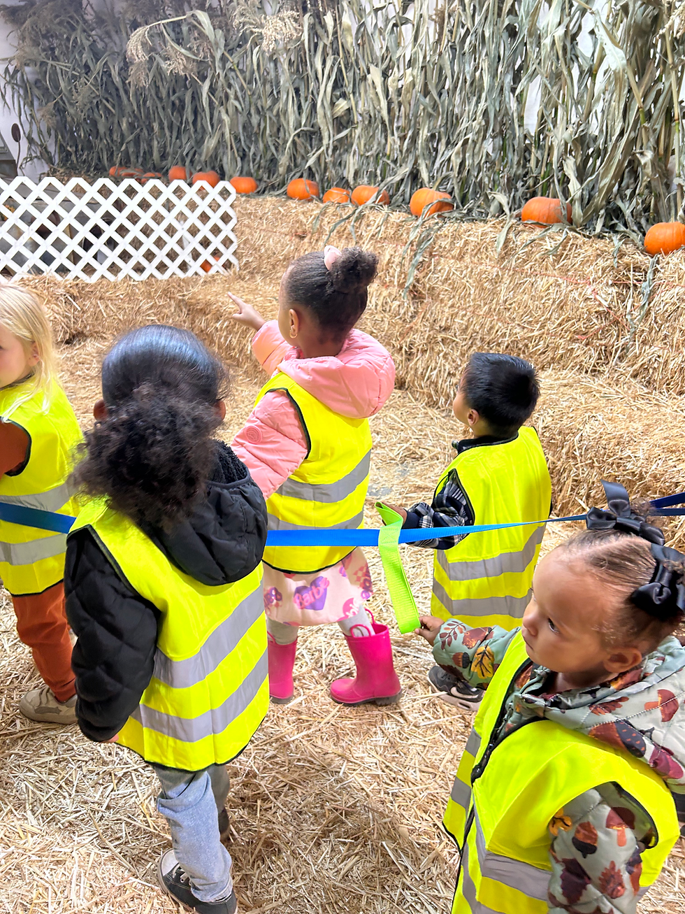 Pumpkin Patch .HEIC