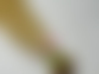 Where to buy pre-bonded hair extensions in the US?