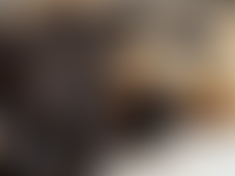 Understanding Authentic Human Hair Bundles