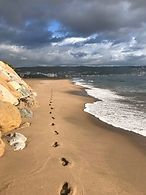 IMG_1309.jpeg