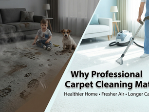 Why You Should Get Your Carpets Cleaned Professionally