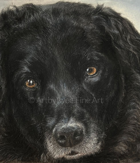 Portrait of a black dog