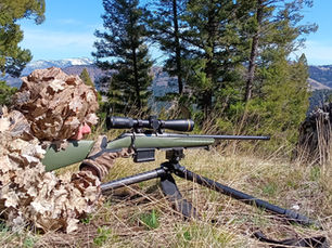 The Arca-Swiss Mounting System and Its Modern Evolution in Hunting & Competition Rifles