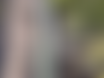 Everything You Need to Know About Picatinny Rails: The Ultimate Mounting Guide