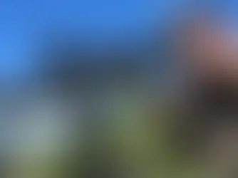 Mastering Long-Range Shooting with Arca Rails: Techniques, Gear, and Pro Insights