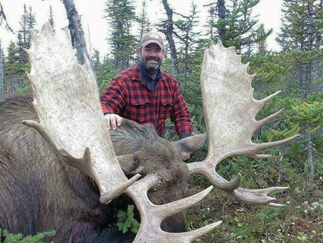 BC moose combo hunt