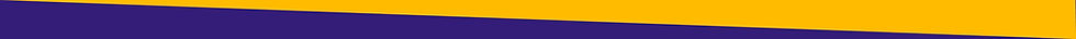 yellow_FFBB00-down+purple.jpg