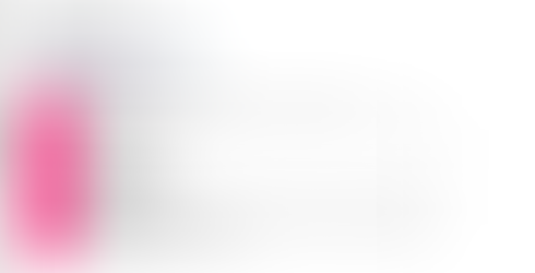 Feasibility Study Template Guideline