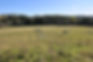 DSC_2310.JPG
