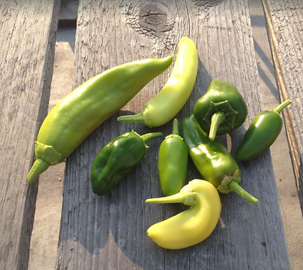Peppers.png