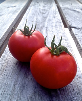 Tomatos.png