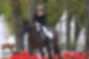 Camille Judet Chéret & Herelja Higgins 6 èmes du second Grand Prix du CDI3* d'Aix la Chapelle