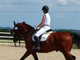 150 cavaliers internationaux demandent à la FEI le droit de continuer à porter le chapeau