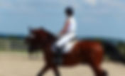 Le chapeau de dressage revient sur le tapis