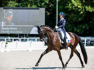 Ornago: Mado Pinto, Alexandre Chéret & Emeline Schevingt ne font qu'une bouchée des Jeunes Cavaliers