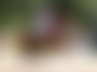 Donnerhall, meilleur père de mère de 2020