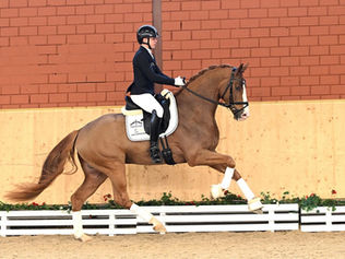 Vente PS online auction : 129.500€ pour le Top Price