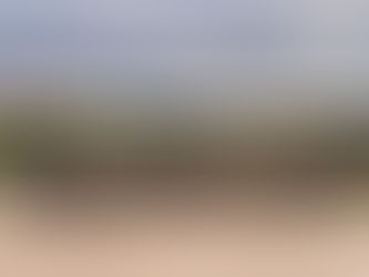 Mise en vente du Haras de Hus : une page du dressage français qui se tourne ?