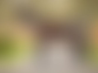 Saniro pour Charlotte Chalvignac Vesin