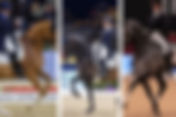Omaha : Dinja van Liere, Nanna Skodborg Merrald & Thamar Zweistra ont choisi leurs chevaux