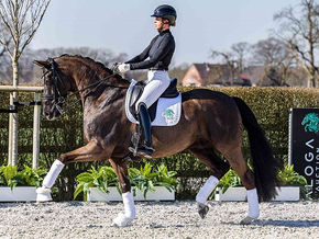 Vente Aloga : 2.1 millions pour le Top Price