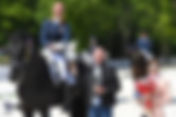 Les Internationaux de Dressage de Compiègne organisés à huit clos