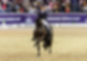 Forever Young HRH quitte (presque) Patrik Kittel
