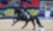Charlotte Fry & Glamourdale et Isabell Werth & Emilio 107 attendus sur le CDI 5* de Fontainebleau
