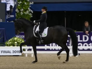 CDIO de Rotterdam : les vidéos Isabell Werth & Weihegold et Edward Gal et Glock's Total US