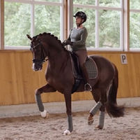 Isabell Werth fait monter la côte de Viva Gold Old sur le Grand Prix du 4* de Mannheim