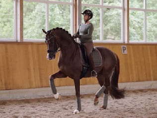 Isabell Werth & Viva Gold Old impressionnent en Allemagne