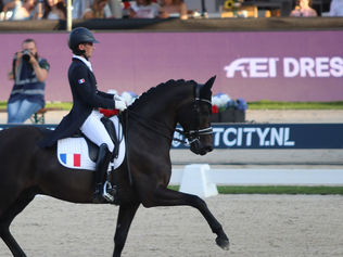 Le Grand Prix Coupe du Monde de Herning aussi pour Patrik Kittel - Corentin Pottier 7 ème