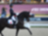 Le Grand Prix Coupe du Monde de Herning aussi pour Patrik Kittel - Corentin Pottier 7 ème