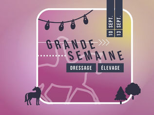 Championnat/Criterium des 5 ans : Eva Bas & Rebell de Fontaine prennent les commandes