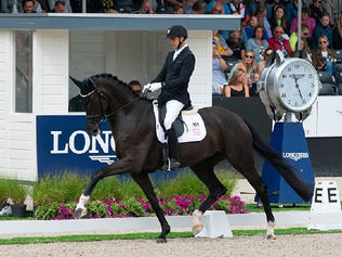 Le Danemark met entre parenthèses ses sélections pour les Championnats du Monde Jeunes Chevaux