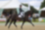 GPS du CDI3* Jiva Hill Stables : Dorothee Schneider confirme - Corentin Pottier 3 ème