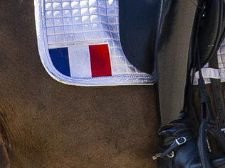 Sélections françaises des Championnats d'Europe Jeunes