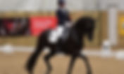 Sélection britannique des Championnats du Monde Jeunes Chevaux