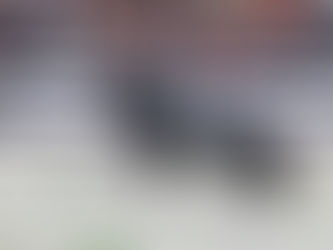 Quels étalons seront les plus représentés aux prochains Championnats du Monde Jeunes Chevaux ?