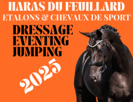 HARAS DU FEUILLARD 2025 (2).gif