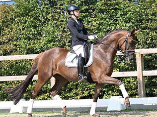 Vente du Oldenbourg : 250.000€ pour le Top Price