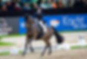 Leipzig : Jessica von Bredow Werndl & TSF Dalera BB toujours plus au sommet - Morgan Barbançon 7ème